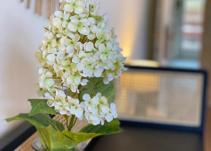 Dream Balcony At Piazza Del Perugino Apartment Trieste
